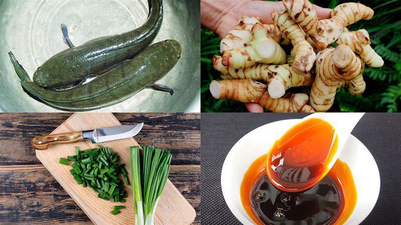 Ingredients for braised snakehead fish (ca loc) with galangal