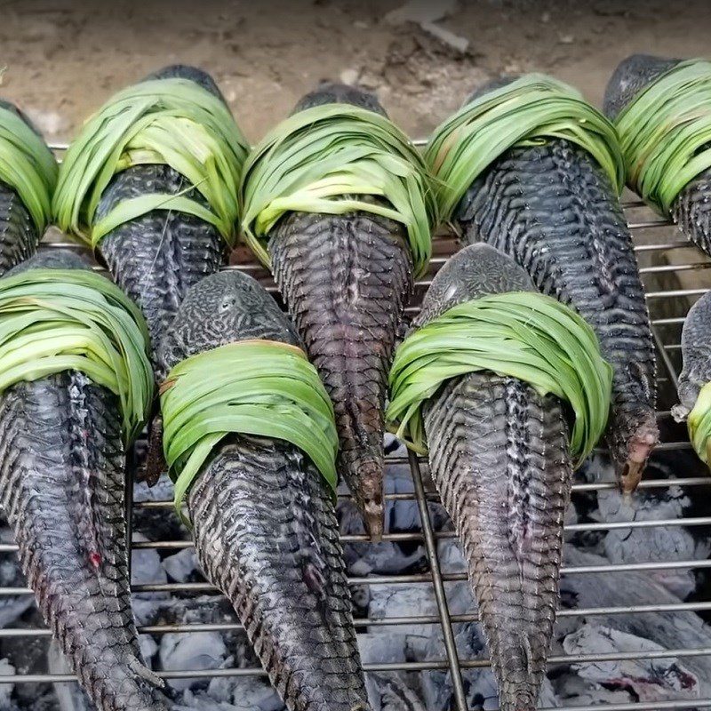 Step 2 Grilling the fish Grilled glass catfish with lemongrass