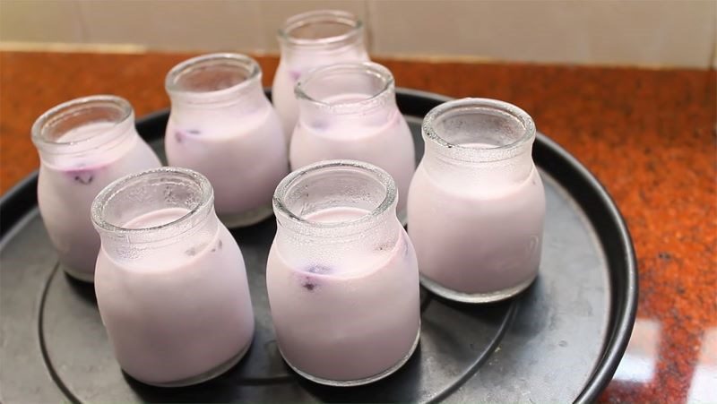 Blueberry yogurt