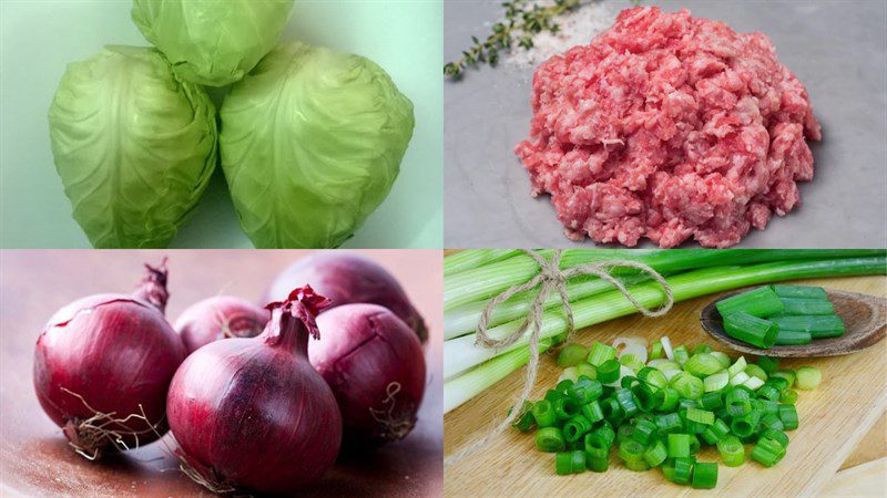 Ingredients for minced pork cabbage soup