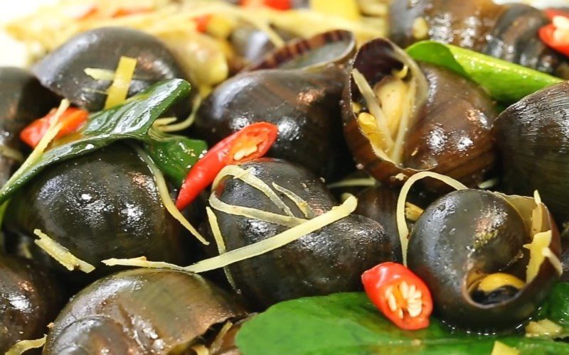 Fried sea snails with curry