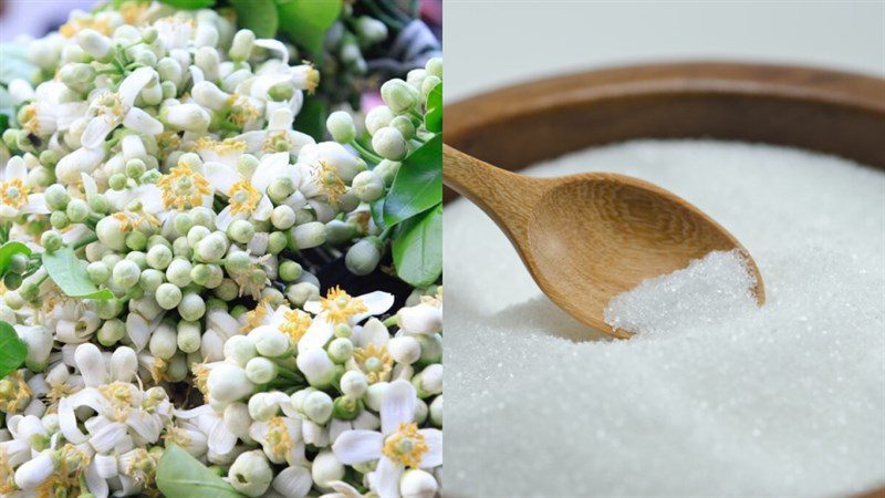 Ingredients for grapefruit flower syrup