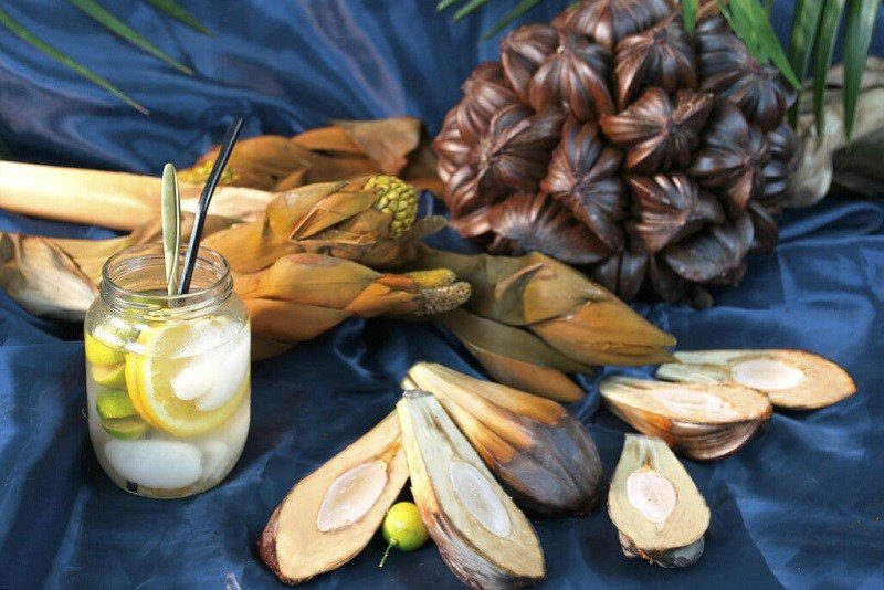 What are the characteristics of nipa palm?