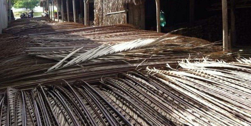 Nipa palm leaves for roofing