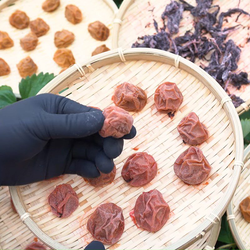 Step 5 Drying salted plums aged in the Japanese style - Umaboshi