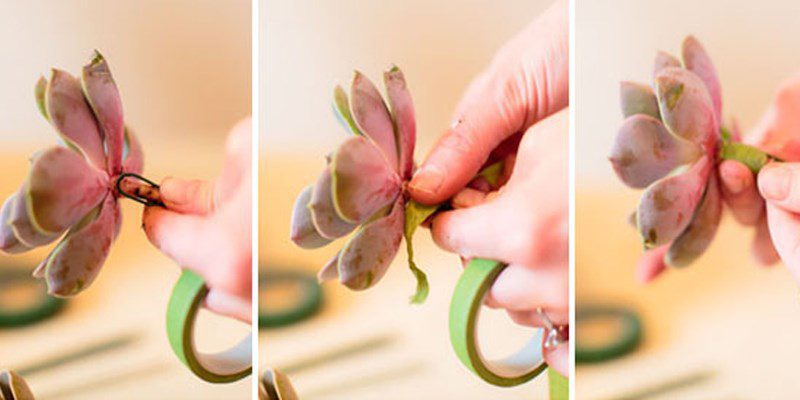 Step 1 how to make a vegetable bouquet