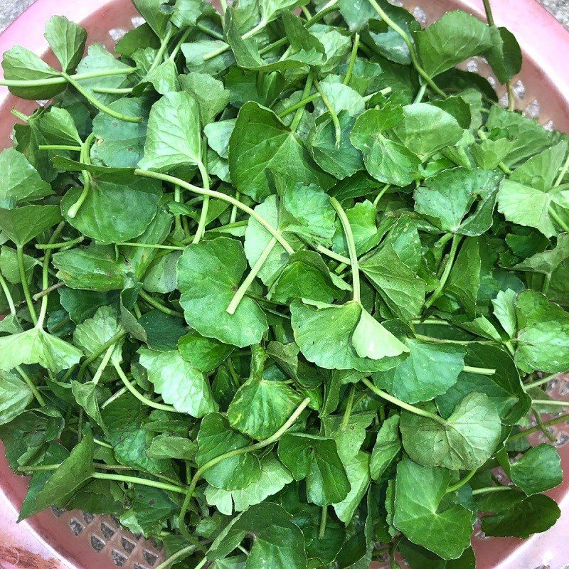 Step 1 Prepare the ingredients for pennywort fish soup