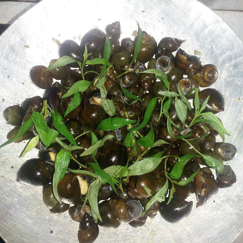 Step 3 Stir-fried snails with garlic Snails - stir-fried bitter snails with garlic