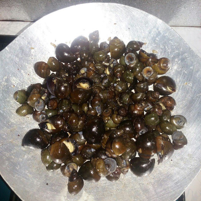 Step 3 Stir-fried snails with garlic Snails - stir-fried bitter snails with garlic