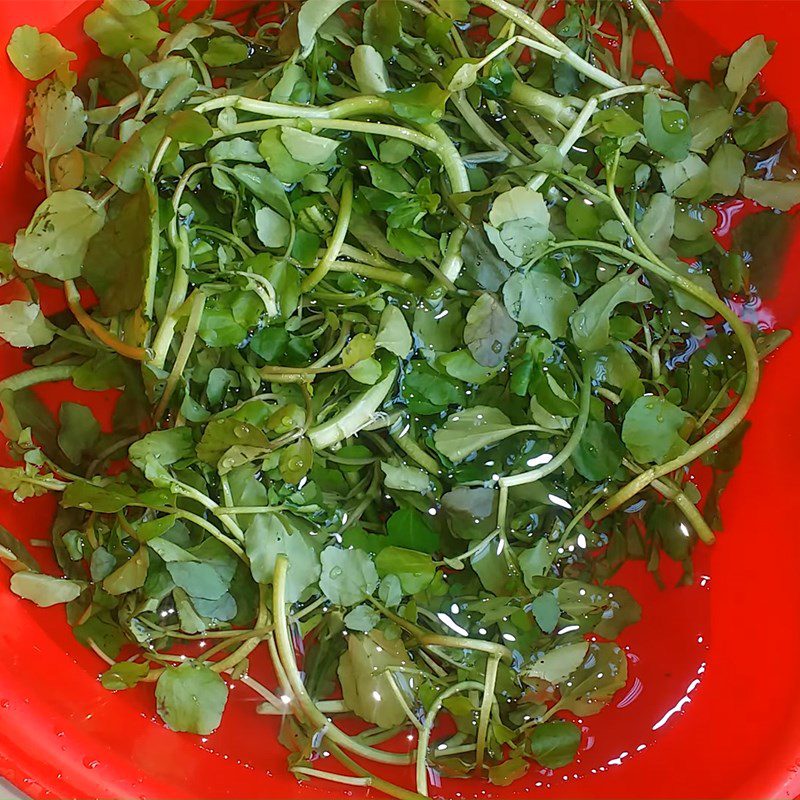 Step 1 Picking and washing watercress with minced meat