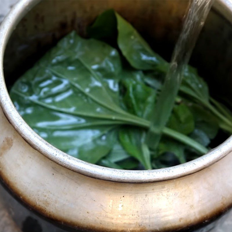 Step 2 Cooking Water from Plantain Leaves Plantain Leaf Water