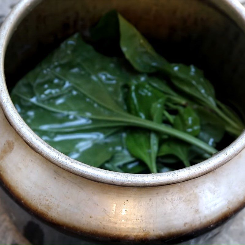 Step 2 Cooking Water from Plantain Leaves Plantain Leaf Water