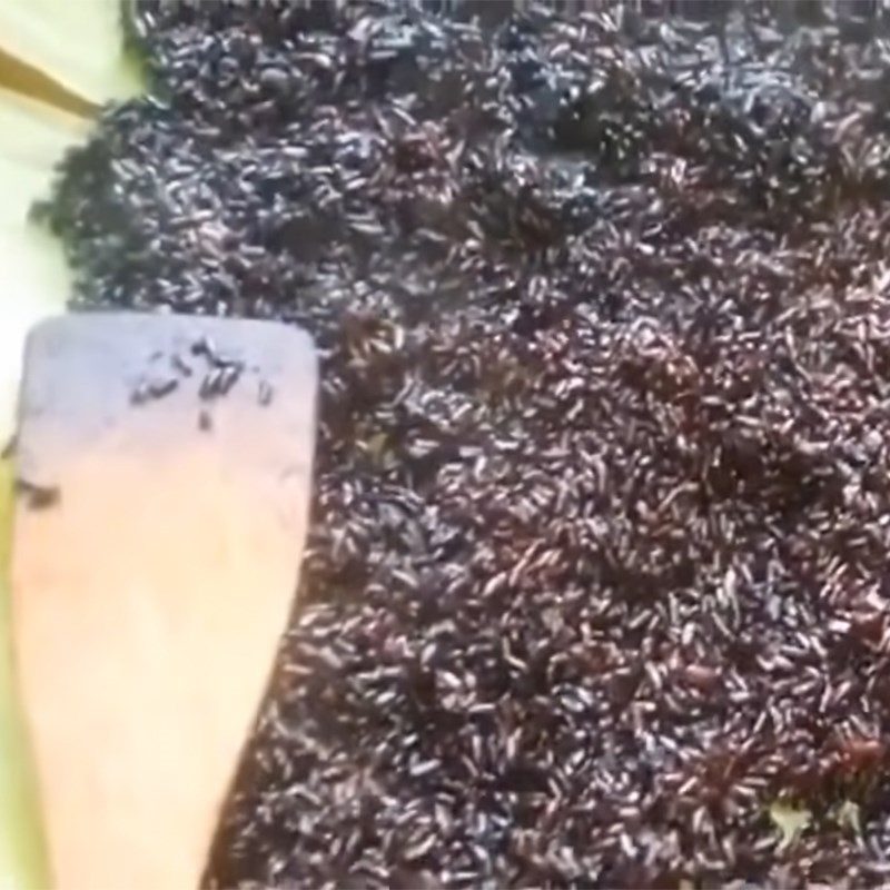 Step 2 Cook the rice for Black Sticky Rice Wine - Black Sticky Rice