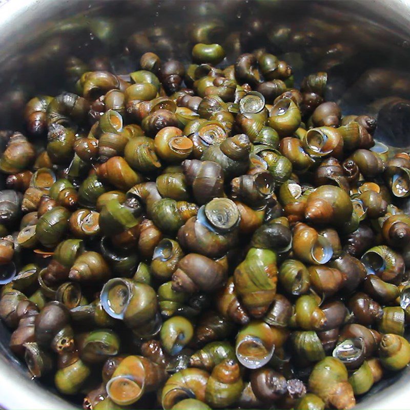 Step 1 Soak and clean the snails Stir-fried rice snails with lemongrass and chili