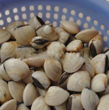 Step 1 Prepare the clams for Stir-fried clams with lemongrass and chili