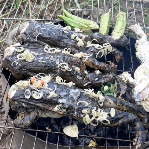 Step 3 Grilling the frogs Grilled frogs with fermented tofu