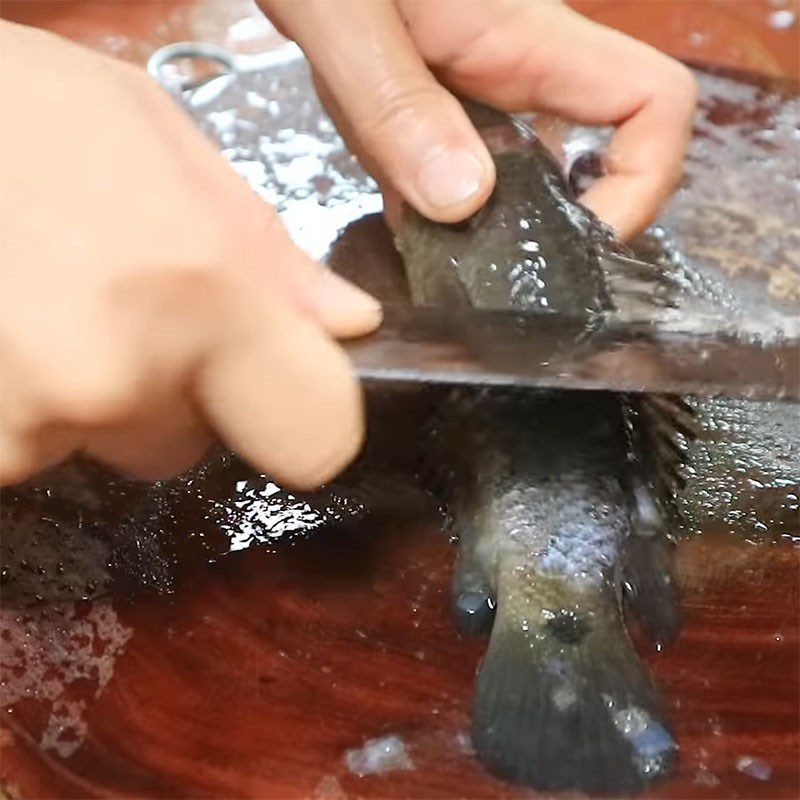 Step 1 Prepare the snakehead fish Snakehead fish stewed with fermented soybeans