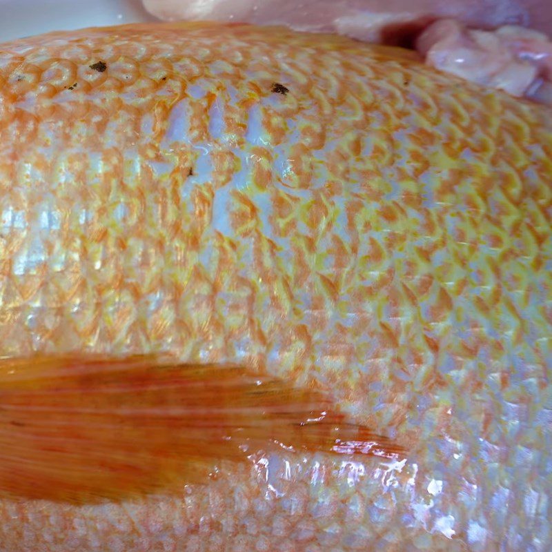 Step 2 Prepare and marinate the fish for steamed red tilapia with five spices