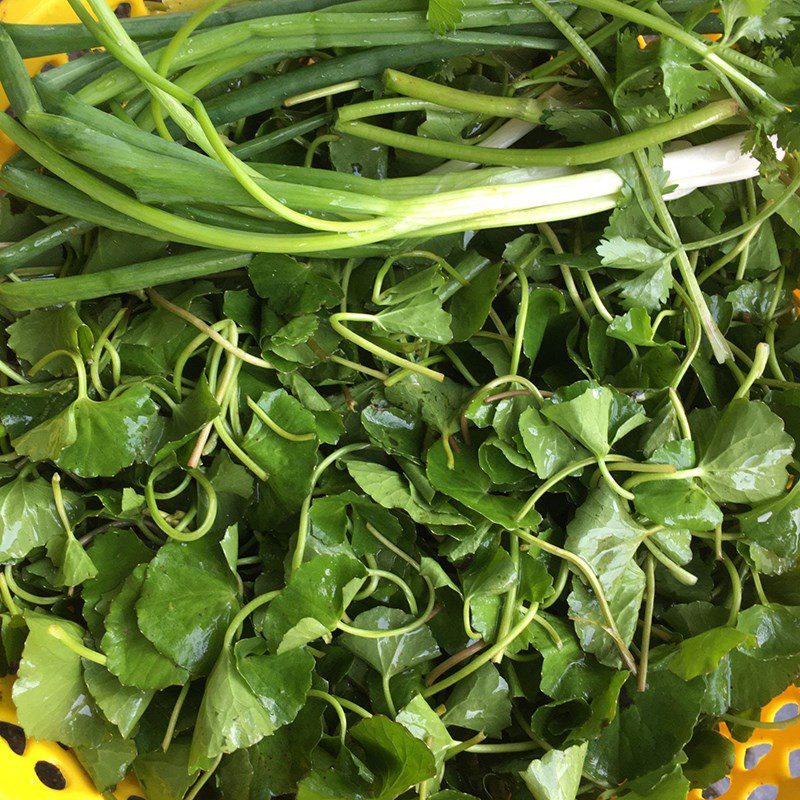 Step 1 Prepare the ingredients for Pennywort Soup with Shrimp