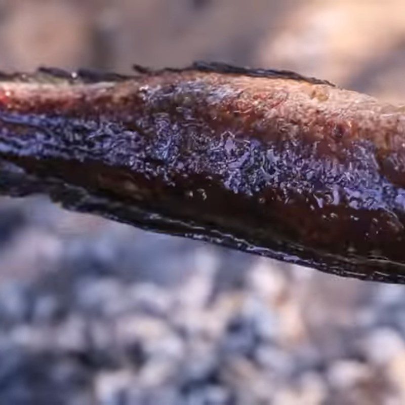 Step 2 Grilling Fish Grilled Snakehead Fish