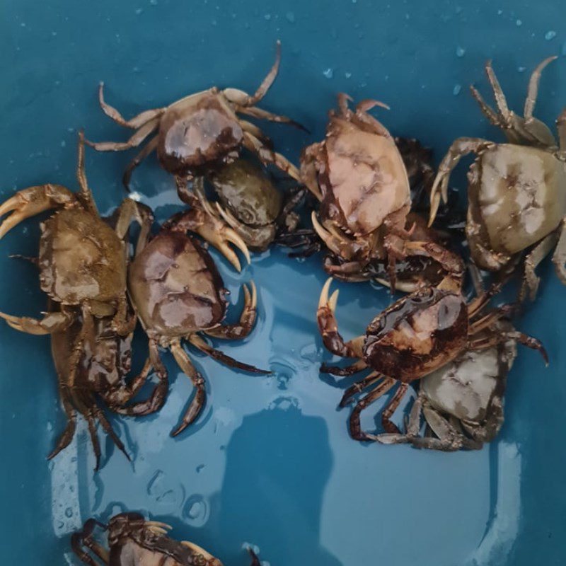 Step 2 Prepare the freshwater crab Crab soup with starfruit