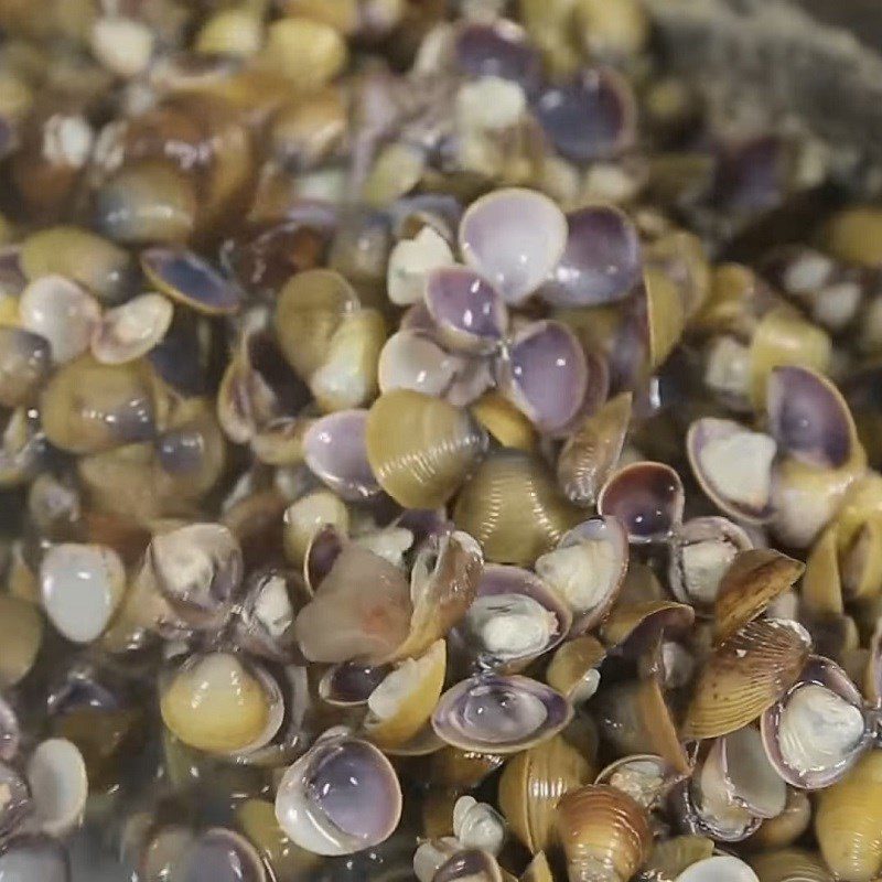 Step 1 Prepare the clams for Stir-fried Clams with Curry