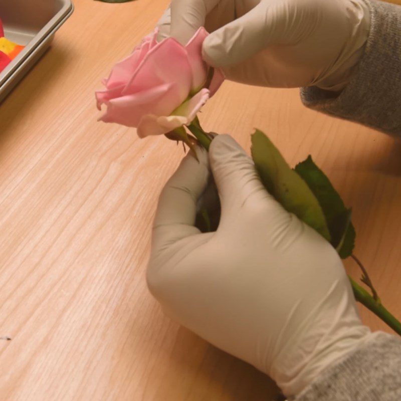 Step 1 Prepare the Roses for Dried Sugar Rose Candy