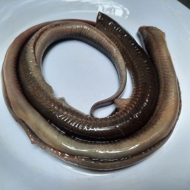 Step 1 Prepare the eel Stir-fried eel