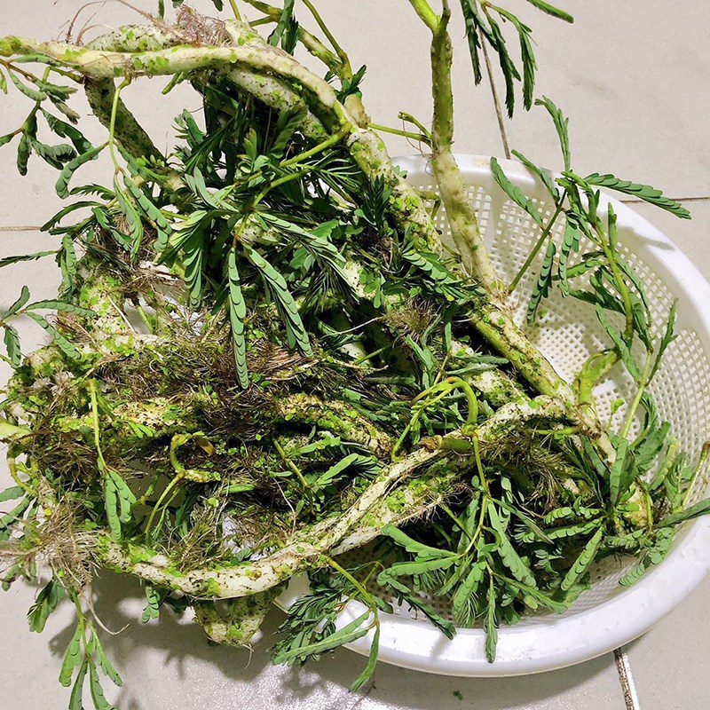 Step 1 Prepare the Ingredients for Stir-Fried Water Spinach with Garlic