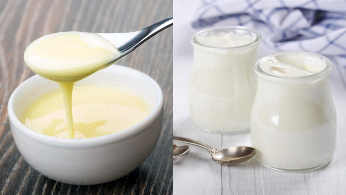 Ingredients for yogurt using condensed milk