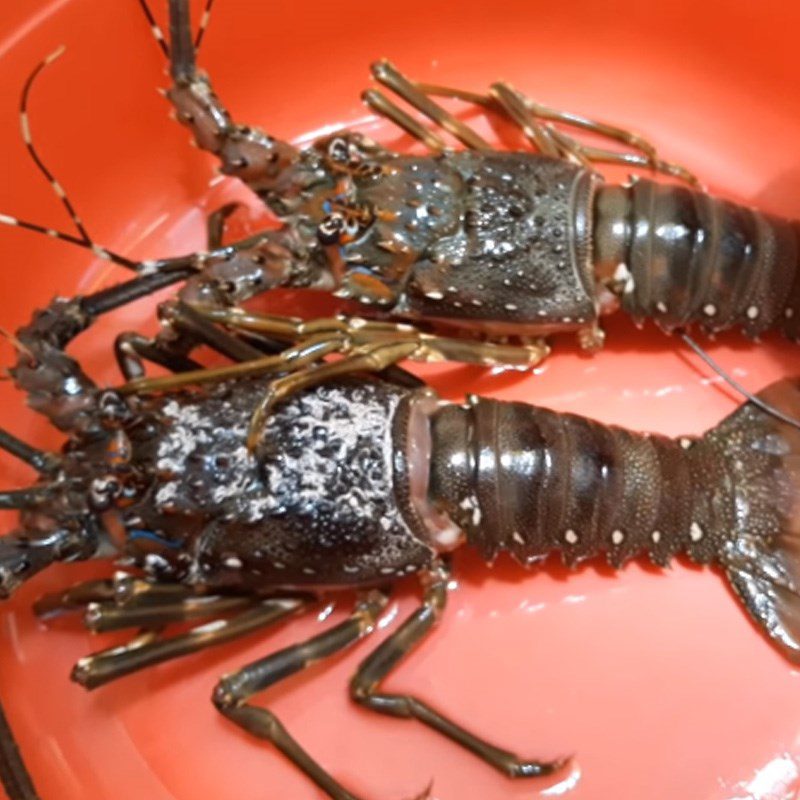 Step 1 Prepare the lobster Steamed lobster with coconut water