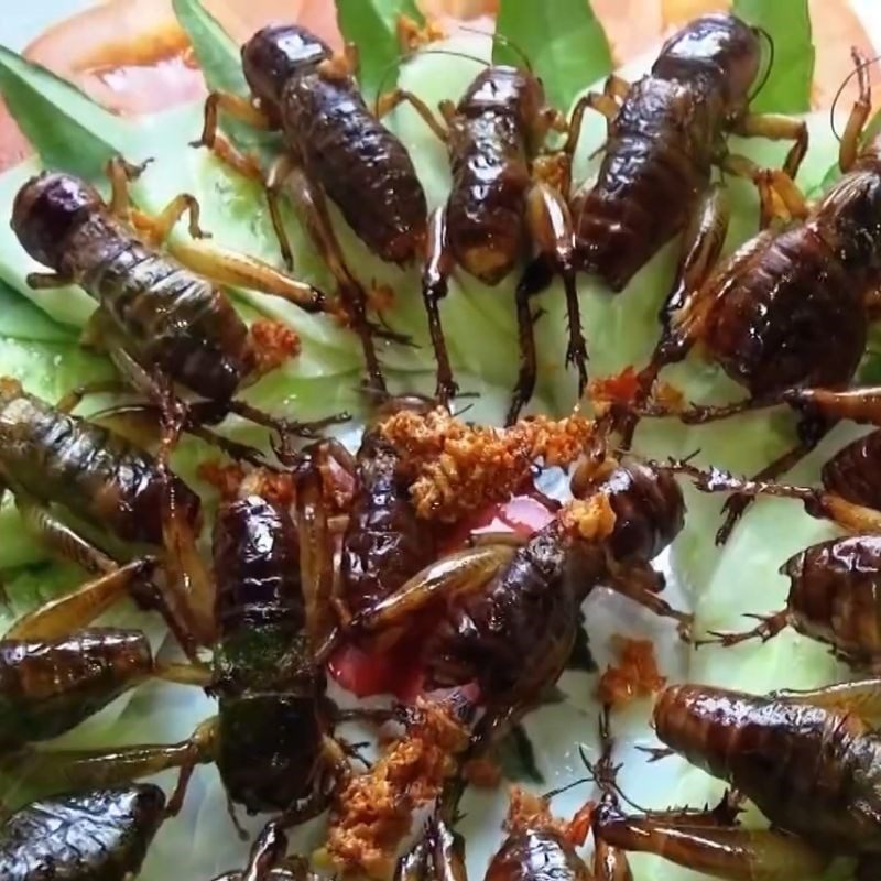 Step 5 Presenting the dish Fried crickets with fish sauce