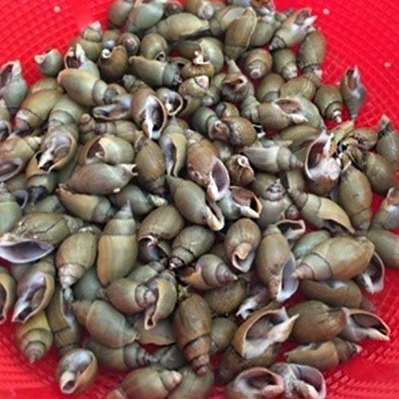 Step 2 Boil the snails Garlic Butter Stir-Fried Snails