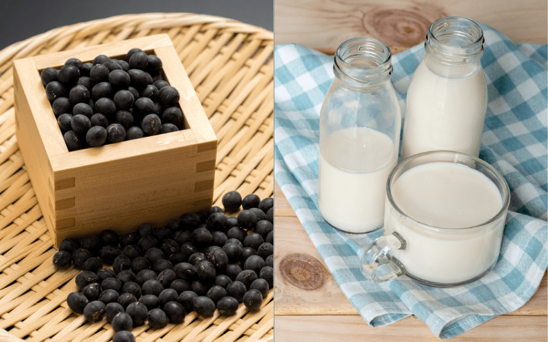 Ingredients for the recipe on how to make black bean milk with a machine