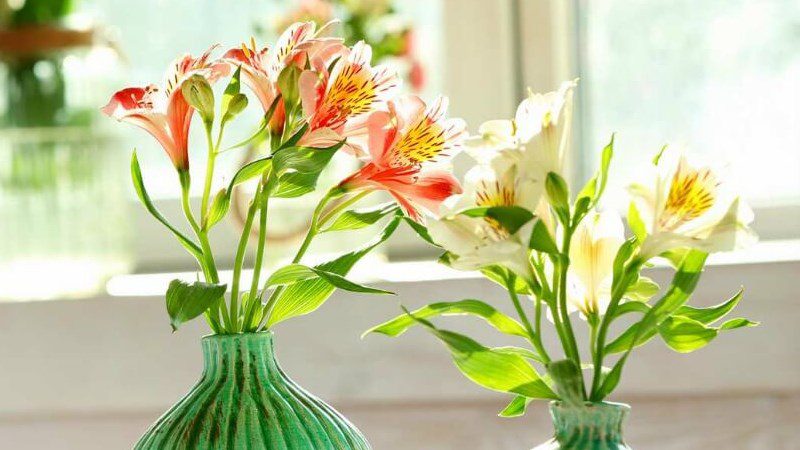 Tips to keep flowers fresh longer using kitchen spices