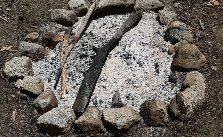 Step 2 Using ash How to clean snakehead fish