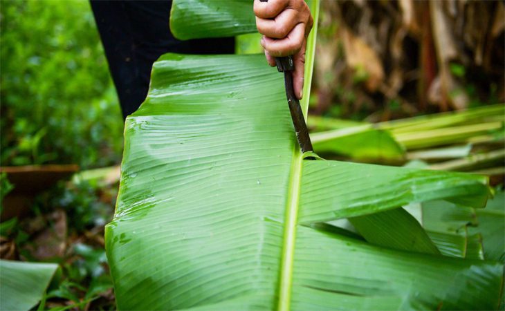 Step 4 Using banana leaves How to clean eel