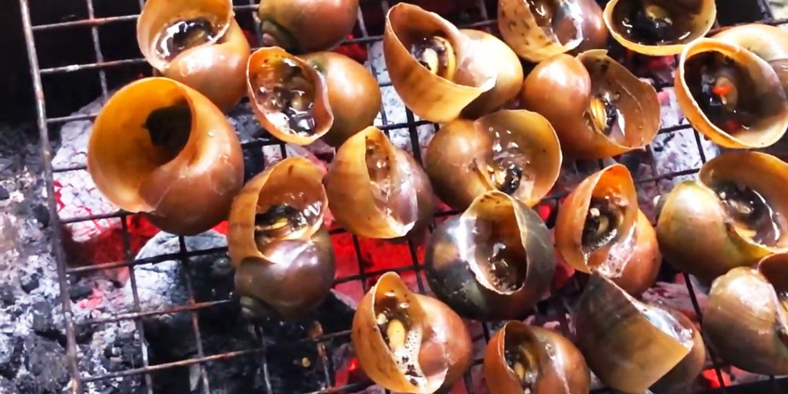 2 ways to make grilled snails with fish sauce and chili salt delicious 08622