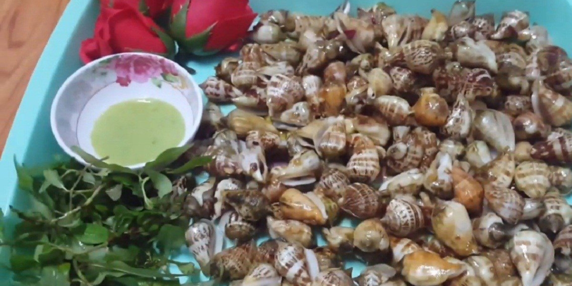 2 ways to make snails sauteed with chili and sauteed with garlic delicious simple 07744