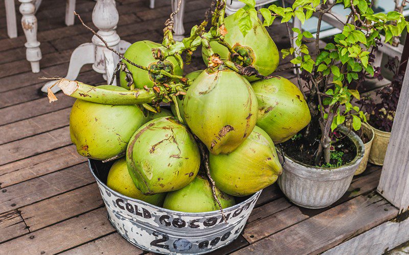 how to choose coconut for Tet