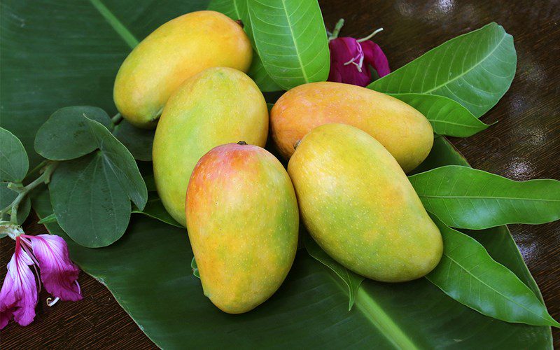 how to choose mangoes for Tet
