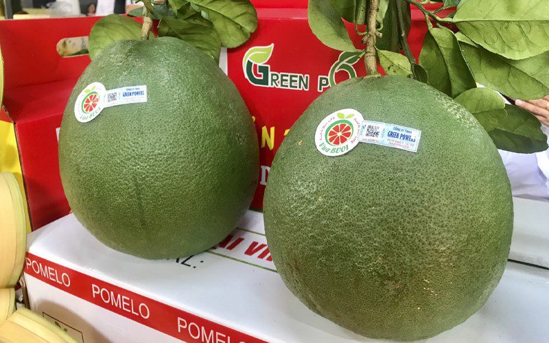 choosing pomelo for Tet