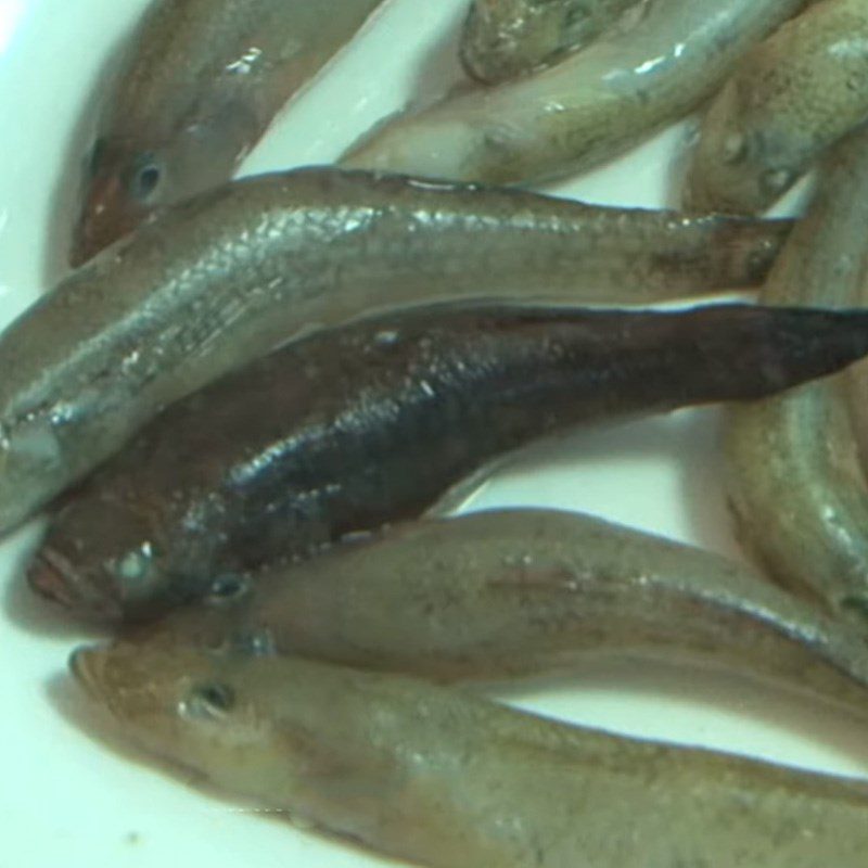 Step 1 Prepare goby fish for braised goby fish with fermented soybeans