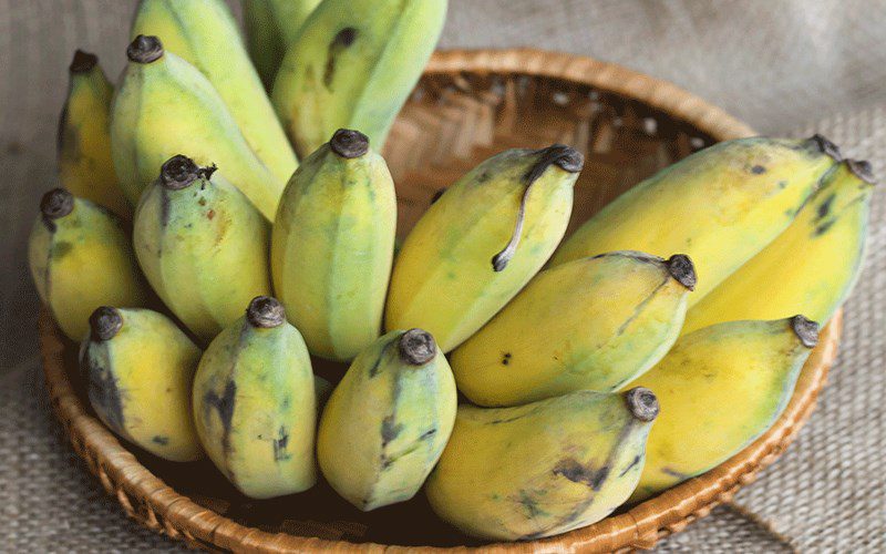 how to choose bananas for Tet