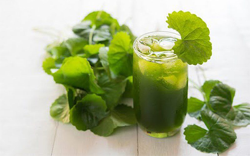 Pennywort juice