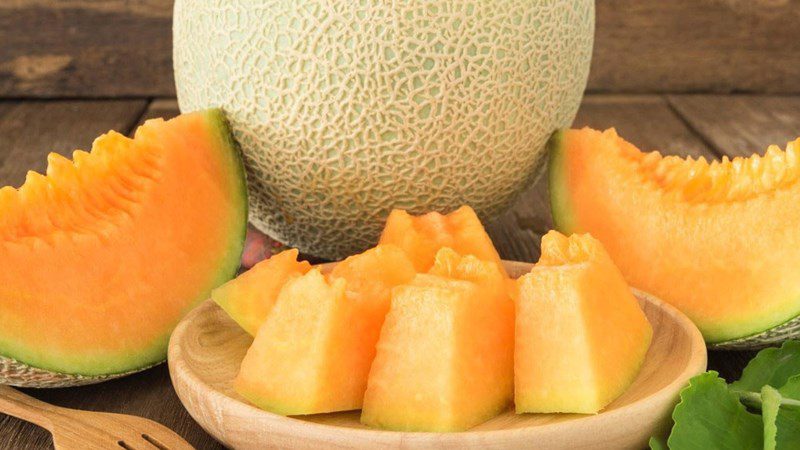 Cantaloupe