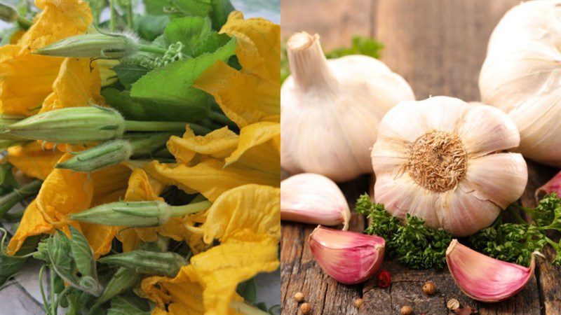 Ingredients for stir-fried squash blossoms with straw mushrooms