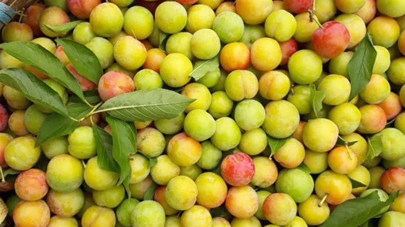 Ingredients for plum juice