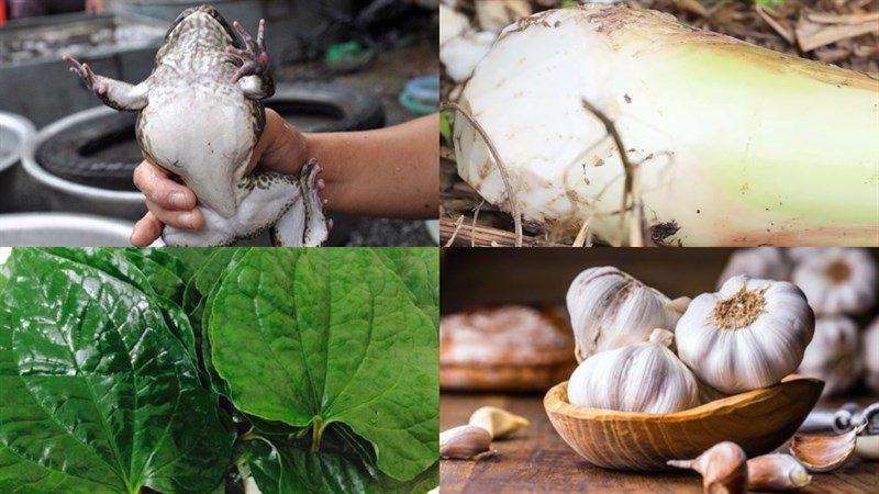 Ingredients for stir-fried frog with banana stem