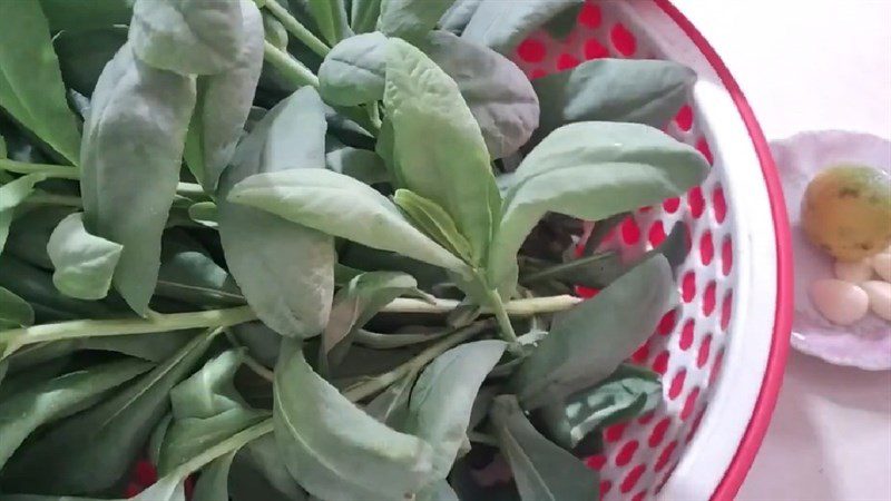 Ingredients for stir-fried dandelion with garlic and beef